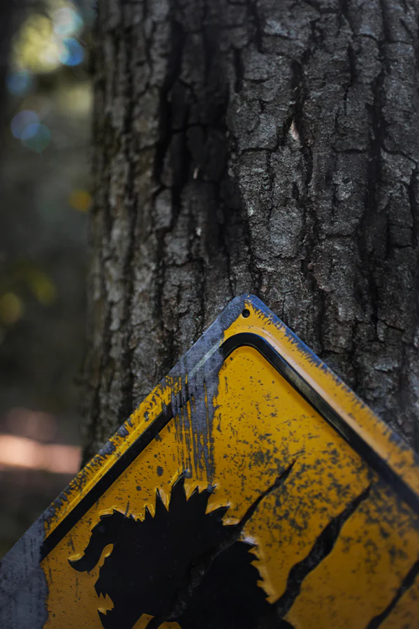 Fallout Deathclaw Crossing Metal Sign - Image 4
