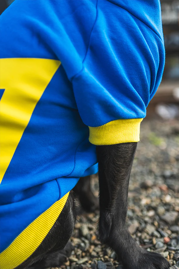 Fallout Vault 101 Pet Hoodie - Image 11