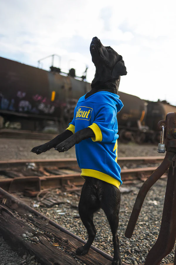 Fallout Vault 101 Pet Hoodie - Image 4