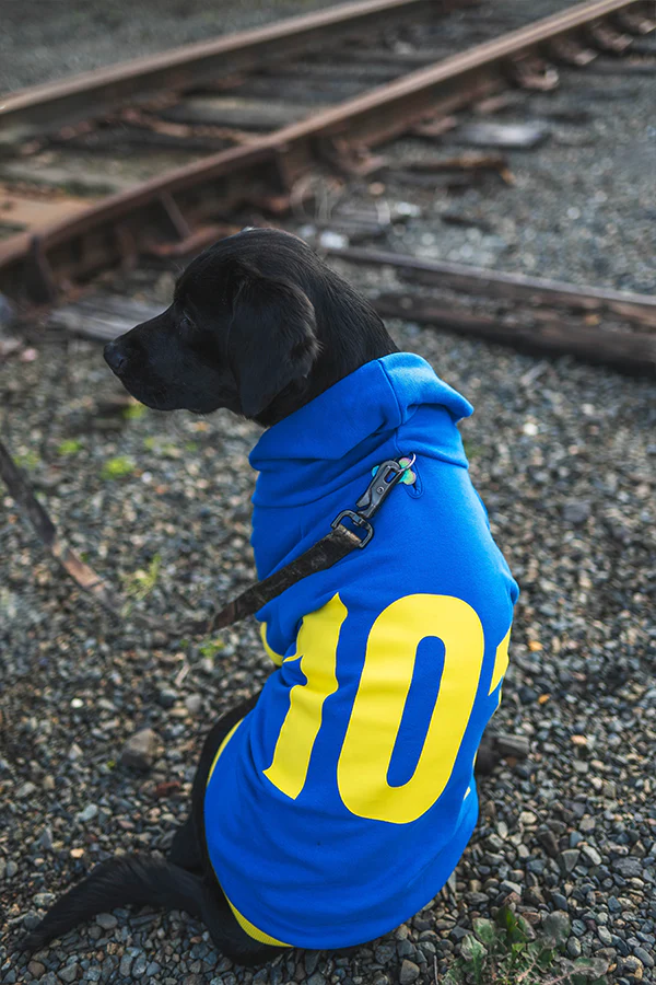 Fallout Vault 101 Pet Hoodie - Image 6