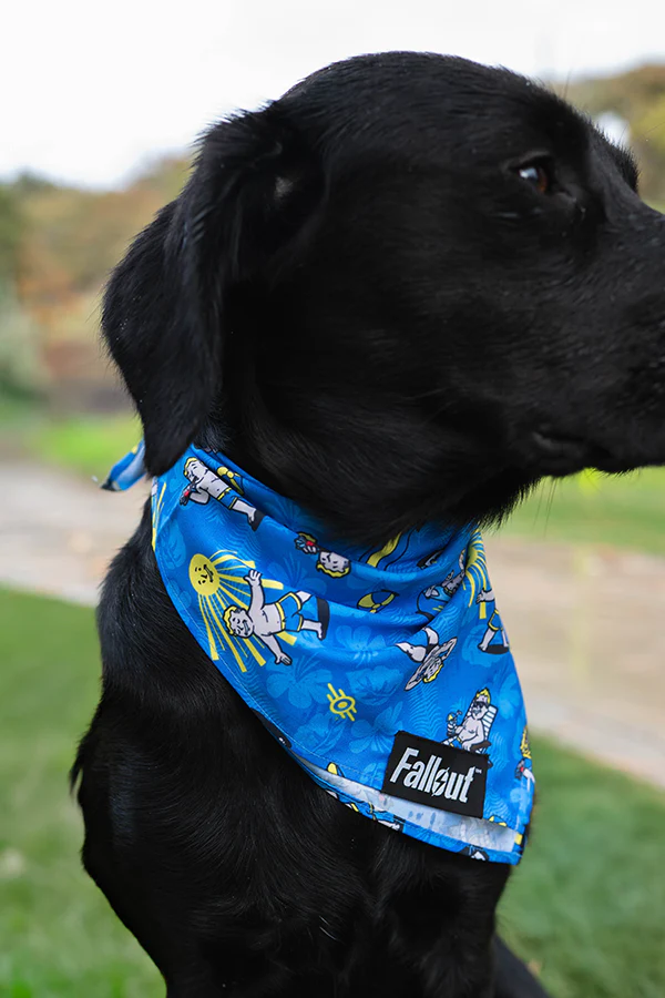 Fallout Wasteland Companion Pet Bandana Set - Image 10